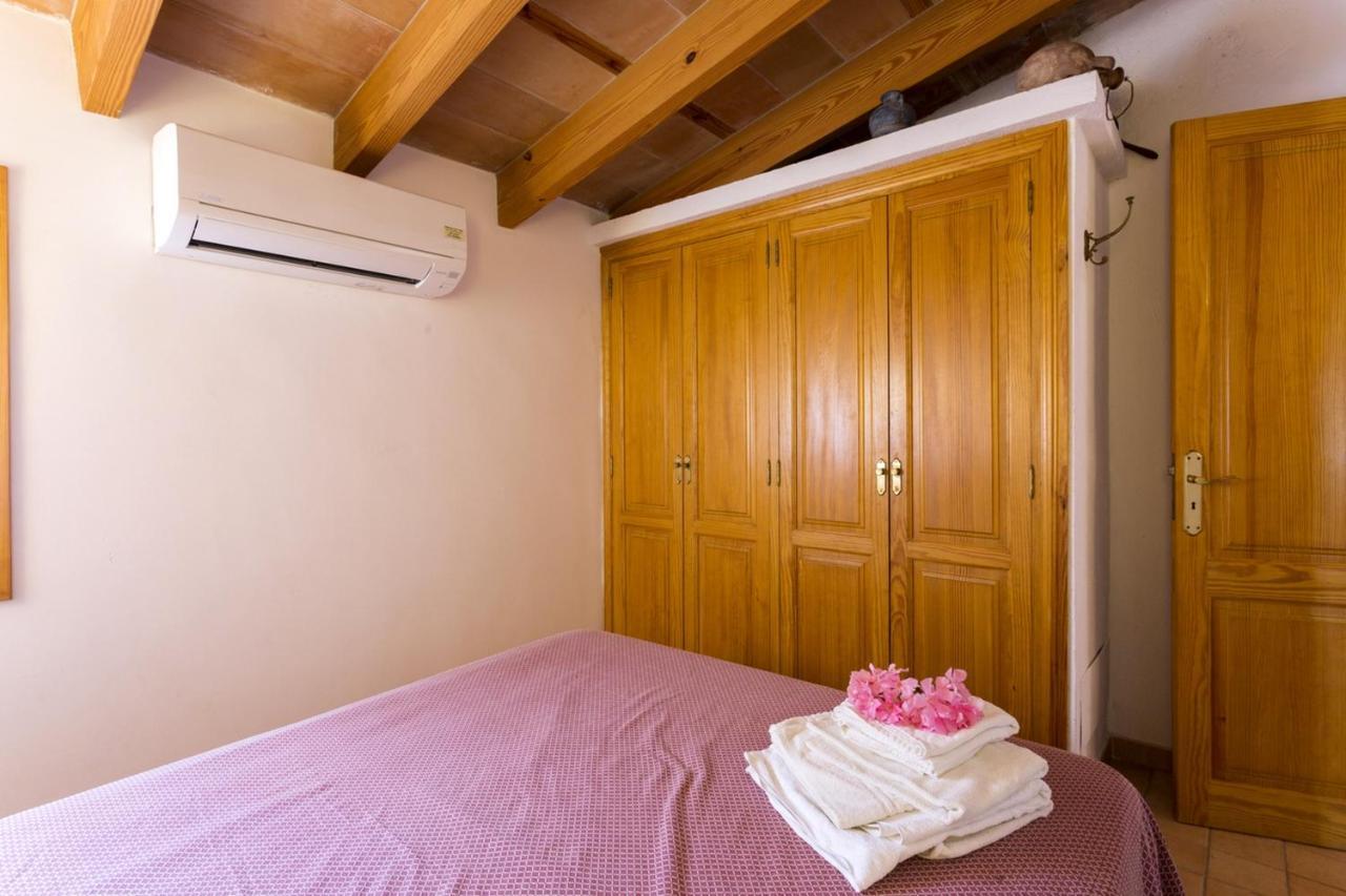 Spacious In With Mountain View Apartment
