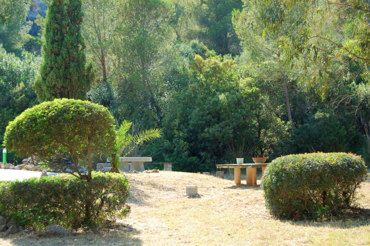 Spacious In With Mountain View Apartment *